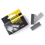 Скоби 23/10  Scholz