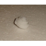 Шестерня муфта Samsung ML-1710   JC81-01692A  Китай